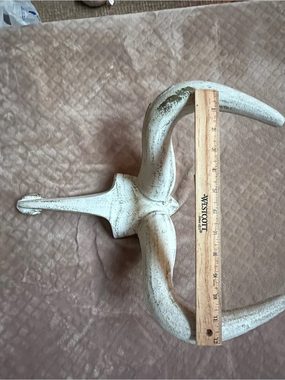 Vintage Rustic White Decorative Wall Horn